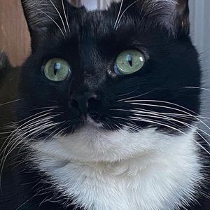 Meet your Posher, Eva